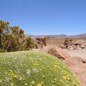 Bolivia