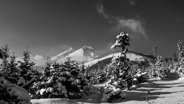 Tatry