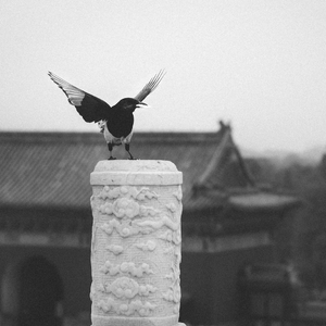 Čína, Peking 2012