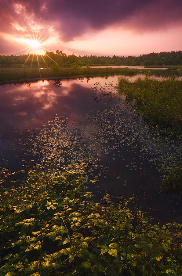 Woorgreens lake