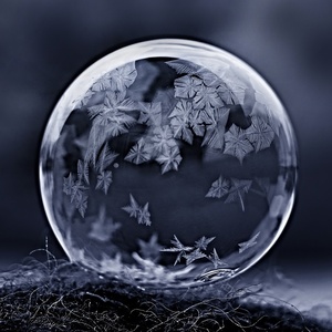 bubliny v zime