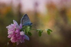 Leto pomaly končí...