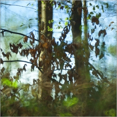 len nezablúdiť v lese