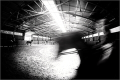 jumping school