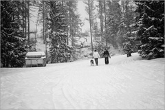 o šťastnom návrate