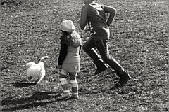 neutekaj, chcem sa s tebou hrať