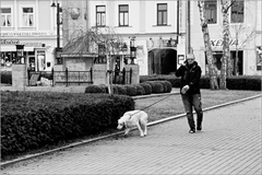"pridaj, človeče, pridaj"