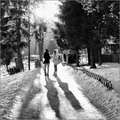 kamošky ani zima nerozdelí