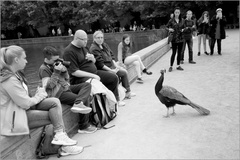 "chutí ti samému?"