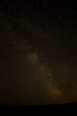 Milk Way