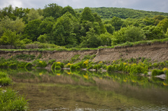 V zelenom ráji. (2)