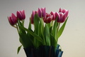 ďalšie tulipány :)