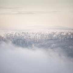 v zamrznutej krajine