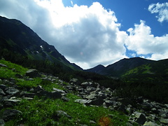 Roháče