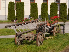 rebrinak