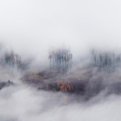 Jesenna hmla