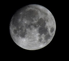 The Moon