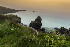 ST Ives