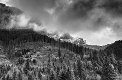 Frozen Land