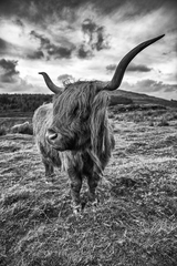Na Ostrove Skye