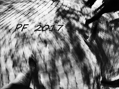 Pf 2017