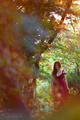 Enchanted I.