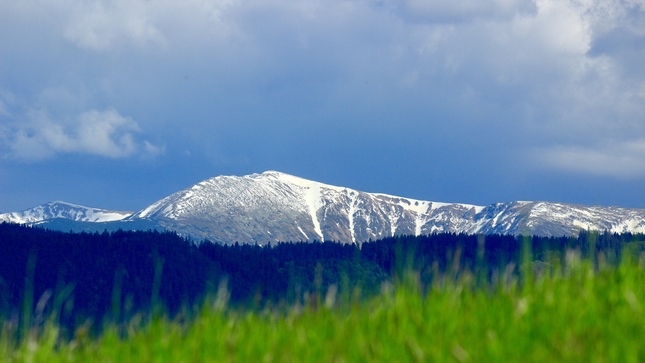 … z trávy