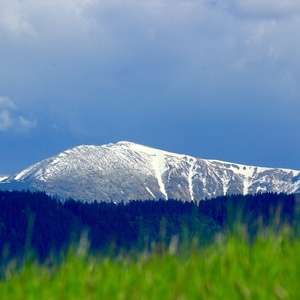 … z trávy