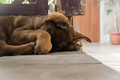 Nap time