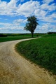popri strome do dediny