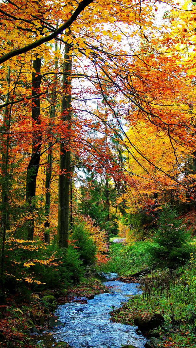 Jesenné farby udolie Lesnica 3