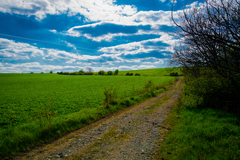 The way to the unknown...