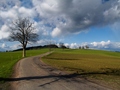 Předjaří