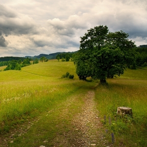 Zataženo