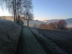 Cesta za světlem
