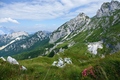 Julské Alpy (Slovinsko)