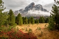 Dolomity