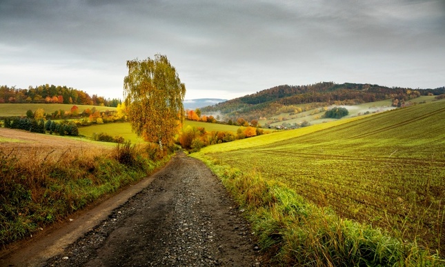Křivky krajiny