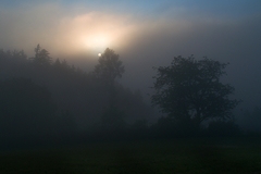 Mlhavé svítání