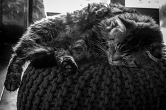 poobedná siesta
