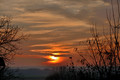 Žiara