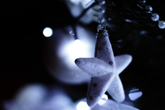 Christmas star