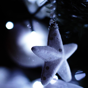 Christmas star