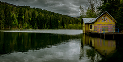 The Cabin in the Woods