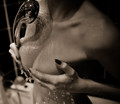 sepia chic