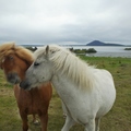 U jezera Mývatn