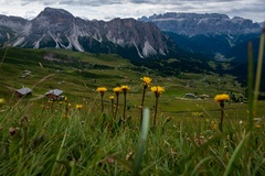 Dolomity