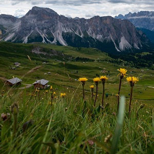 Dolomity