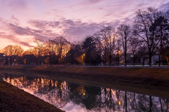 Nitra