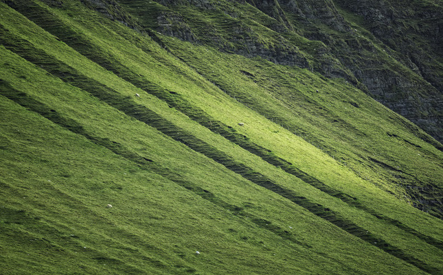 Waves of Green